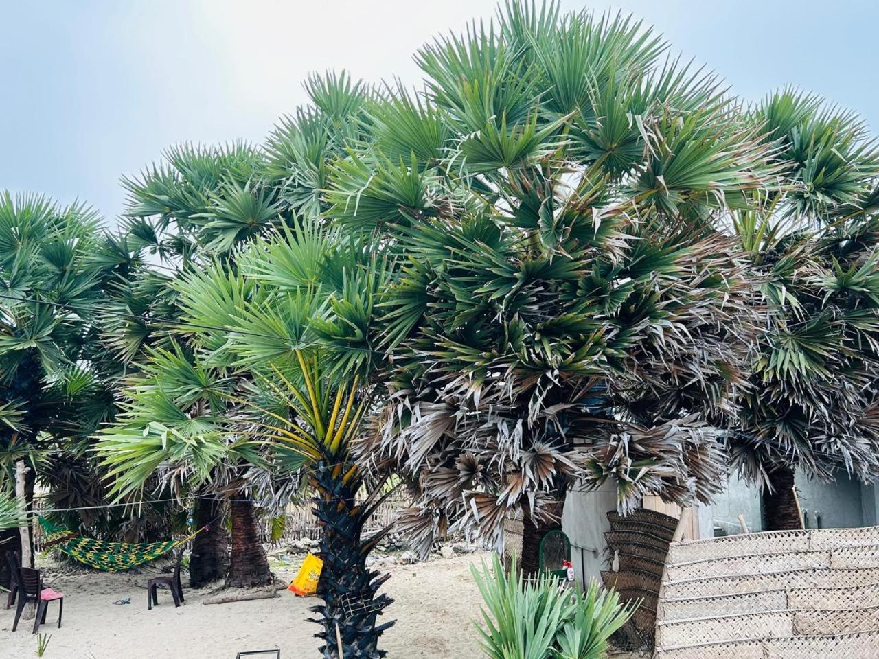 Delft East Delft Jeyam Resorts מראה חיצוני תמונה