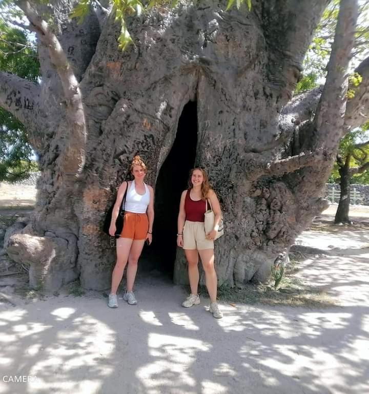 Delft East Delft Jeyam Resorts מראה חיצוני תמונה